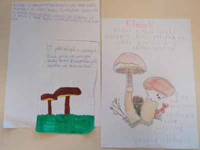 Přírodověda - práce ve skupinkách