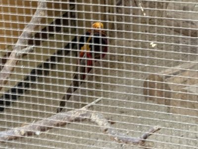 Projektový den 17. 10. 2023 "Příroda nás učí" - Minizoo v přírodní rezervaci Chuchelský háj