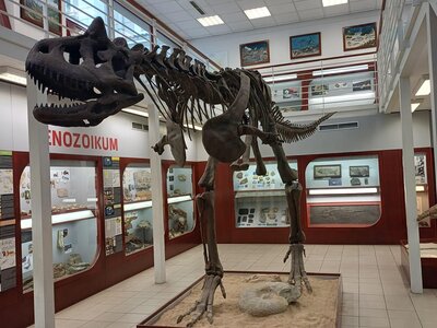 Projektový den  "Praha - moje město " Chlupáčovo muzeum historie Země  4.2. 2025