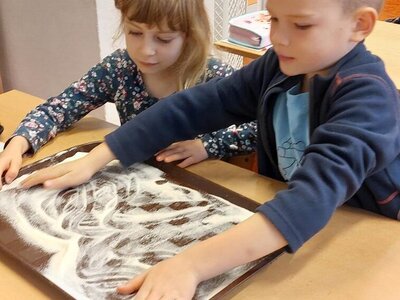 Pracovní činnosti 7. 11. 2025