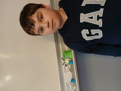 Tvoříme zvířátka z papíru