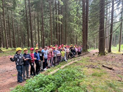 5. den Šumava 2026