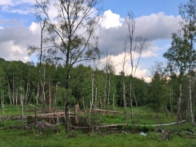 Škola v přírodě 1. - 7. 6. 2026