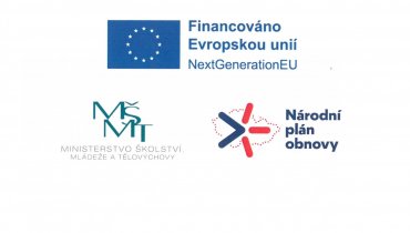 Doučování žáků škol a inovace ve vzdělávání v kontexu digitalizace