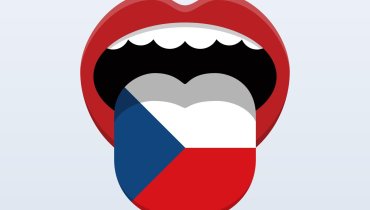 Český jazyk a literatura - kritéria hodnocení a informace k předmětu
