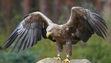 Projektový den 17.10. - návštěva ZOO