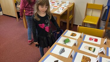 Výuka - Učivo v týdnu od 26. - 30. 1.